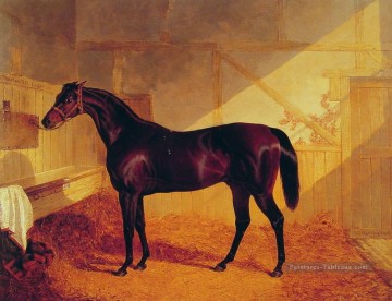  Charles Peintre - M. Johnstones Charles XII dans un hareng stable John Frederick Cheval